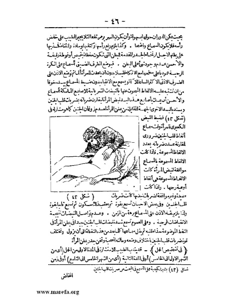 ملف:لمحات السادة في فن الولادة.pdf