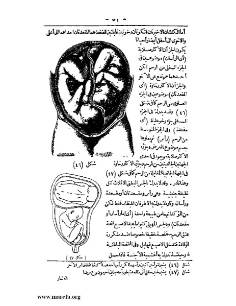 ملف:لمحات السادة في فن الولادة.pdf