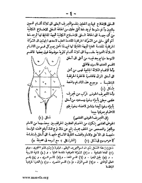 ملف:لمحات السادة في فن الولادة.pdf