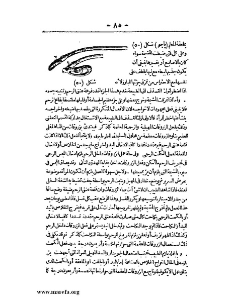 ملف:لمحات السادة في فن الولادة.pdf