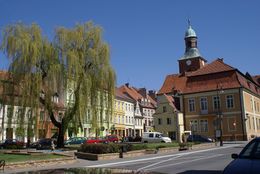 4396viki Środa Śląska. Foto Barbara Maliszewska.jpg