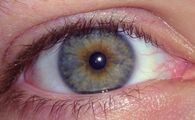 Hazel Eyes, Caucasian Male, Age 23.jpg