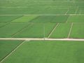 Echigo Plain