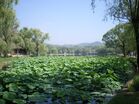 Chengde Mountain Resort 3.jpg