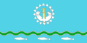 علم Abyysky District