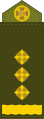 Полковник Polkovnyk[22] (Ukrainian Ground Forces)