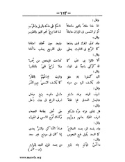 الصفحة التالية &larr;