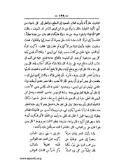 الصفحة التالية &larr;