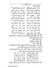 الصفحة التالية ←