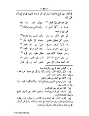 الصفحة التالية &larr;