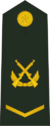 PLAGF-0703-CPL.png