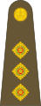 British Army/Royal Marines