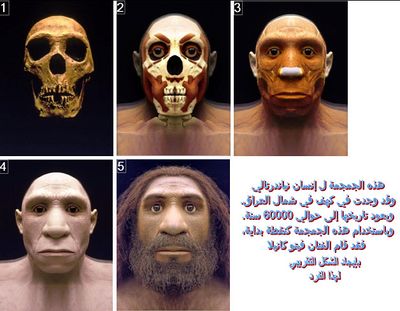 Neandertsallllllllll.jpg