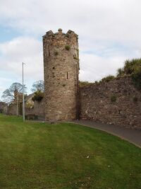 Wexford town wall - geograph.org.uk - 1248429.jpg