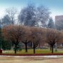 Нальчик - panoramio (6).jpg