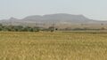 المنظر من الجنوب