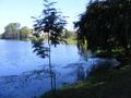 Lo Méndez Lagoon.