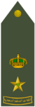 MUQADDAM (RSLF).png
