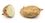 Russet potato cultivar with.jpg