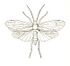 Trichoptera Anabolia icon.jpg