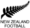 Shirt badge/Association crest