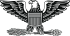 silver eagle with shield clutching arrows