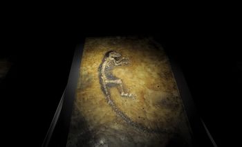 Idaamerimuseum2.jpg