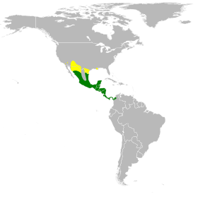 صورة معبرة عن الموضوع شحرور البقر البرونزي