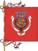 علم Elvas