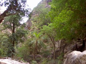 Qahtaan-20060910-1157908866.jpg