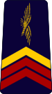 French Air Force-caporal-chef.svg