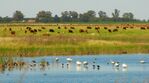 Maraco, La Pampa, Argentina - panoramio (1).jpg