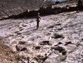Parallel dinosaurs tracks on top of a regressive sequence, Middle Liassic, High Atlas, Morocco.