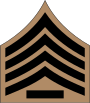 06.RSA-SGM.svg
