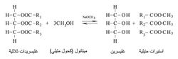 7629-3.jpg