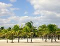 كراندون پارك في Key Biscayne]]
