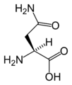 L-أسپاراجين (Asn / N)