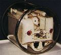 لايكا, in 1957, became the first living being to be launched into orbit