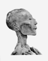 Ramesses V was the son of Ramesss IV and Queen Duatentopet. During his reign Libyan raiders attacked the country and attempted to conquer Thebes, forcing the workers of Deir el-Medina to halt work in the Valley of the Kings. He died of smallpox.