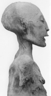 The Younger Lady mummy of KV35 was by DNA matching Tutankhamun's mother. Originally thought to be Nefertiti, DNA showed that she was the sister of Akhenaten. Princess Nebetah or Beketaten are considered candidates.