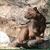 Fossa.jpg
