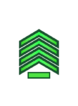 General Directorate of Public Security- Sergeant First Class.png