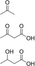 Ketone bodies.png