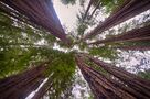 Overwhelming Height (18029596268).jpg