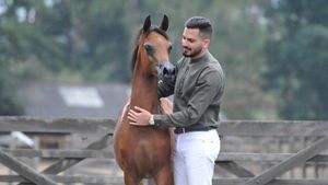 AL SHEIKH STUD