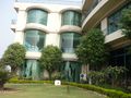 Tulip hotel