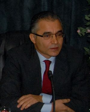 Mohsen Marzouk.jpg