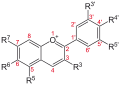 Core structure common to all anthocyanins, some of which produce the blue pigments in blueberries