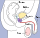 Stub icon