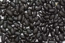 Black Turtle Bean.jpg